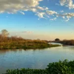 טיול ג׳יפים קסם הטבע ברמת הגולן